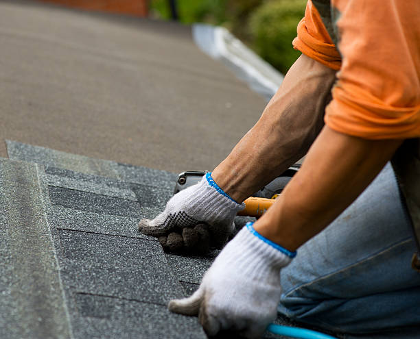 Best Emergency Roof Repair  in Albion, PA