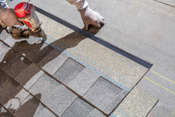Best Roof Gutter Cleaning  in Albion, PA